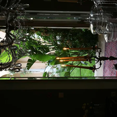 酒店 秘密花园酒店 5*