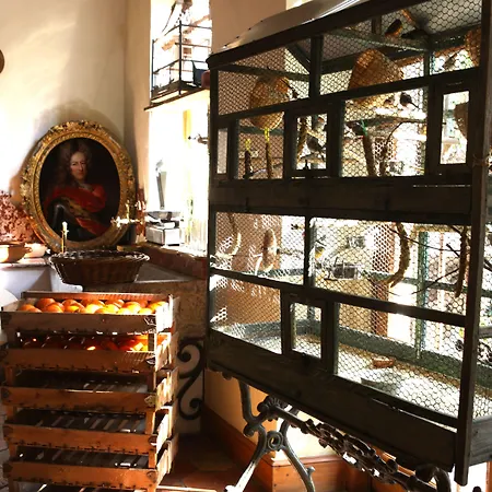 Hotel Jardins Secrets 5*