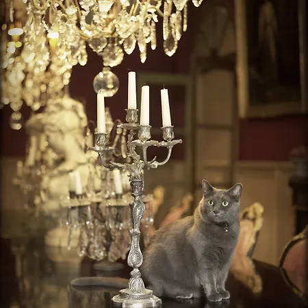 Hotel Jardins Secrets Nîmes