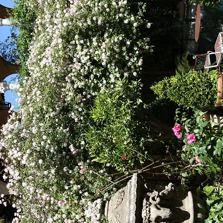 Jardins Secrets Hotell 5*