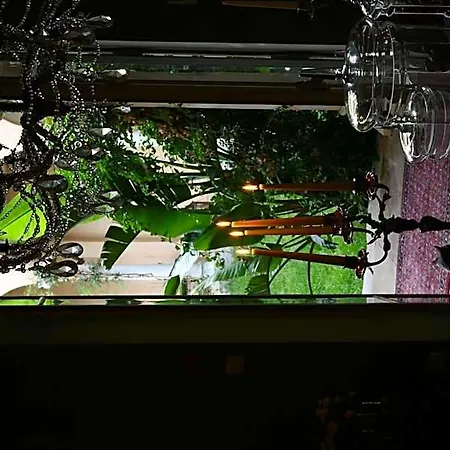 酒店 秘密花园酒店 尼姆