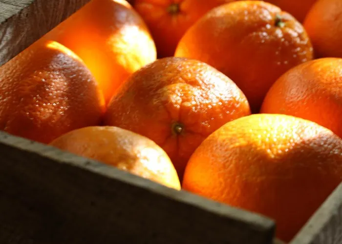 Jardins Secrets Nîmes