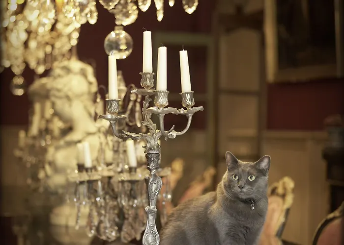 Hotell Jardins Secrets Nîmes