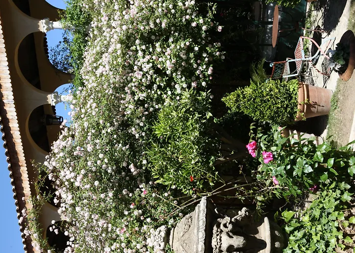 秘密花园酒店 酒店 5*